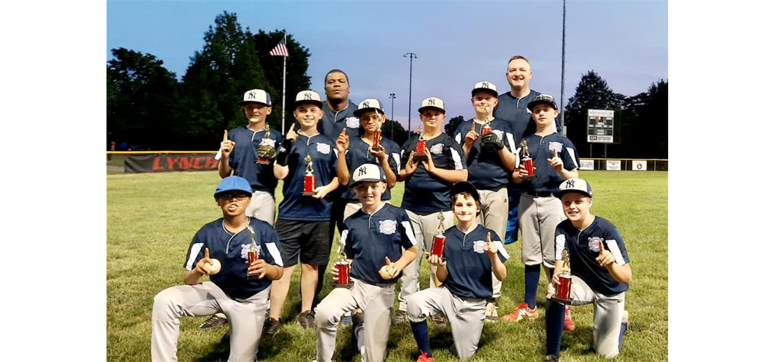 Lynchburg Little League Baseball (VA) > Home